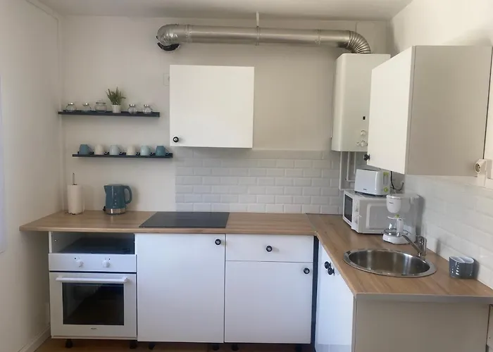 Apartamento Beau T3 Boulevard De Strasbourg *